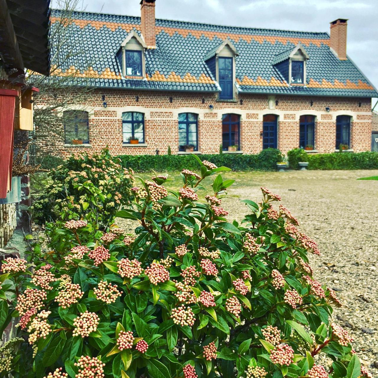Esquelbecq Paardenhof Guesthouse المظهر الخارجي الصورة